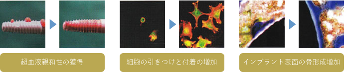 光機能化技術