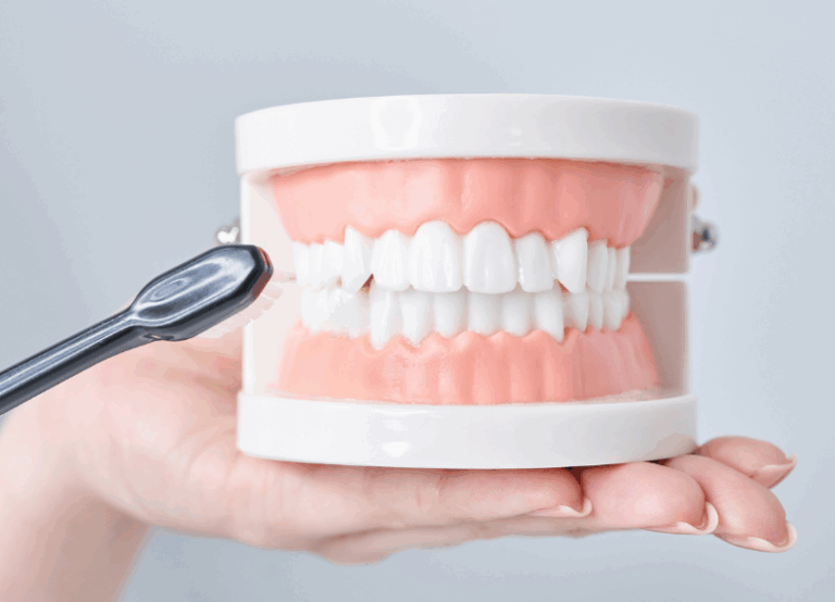 ブラッシング指導｜小野歯科