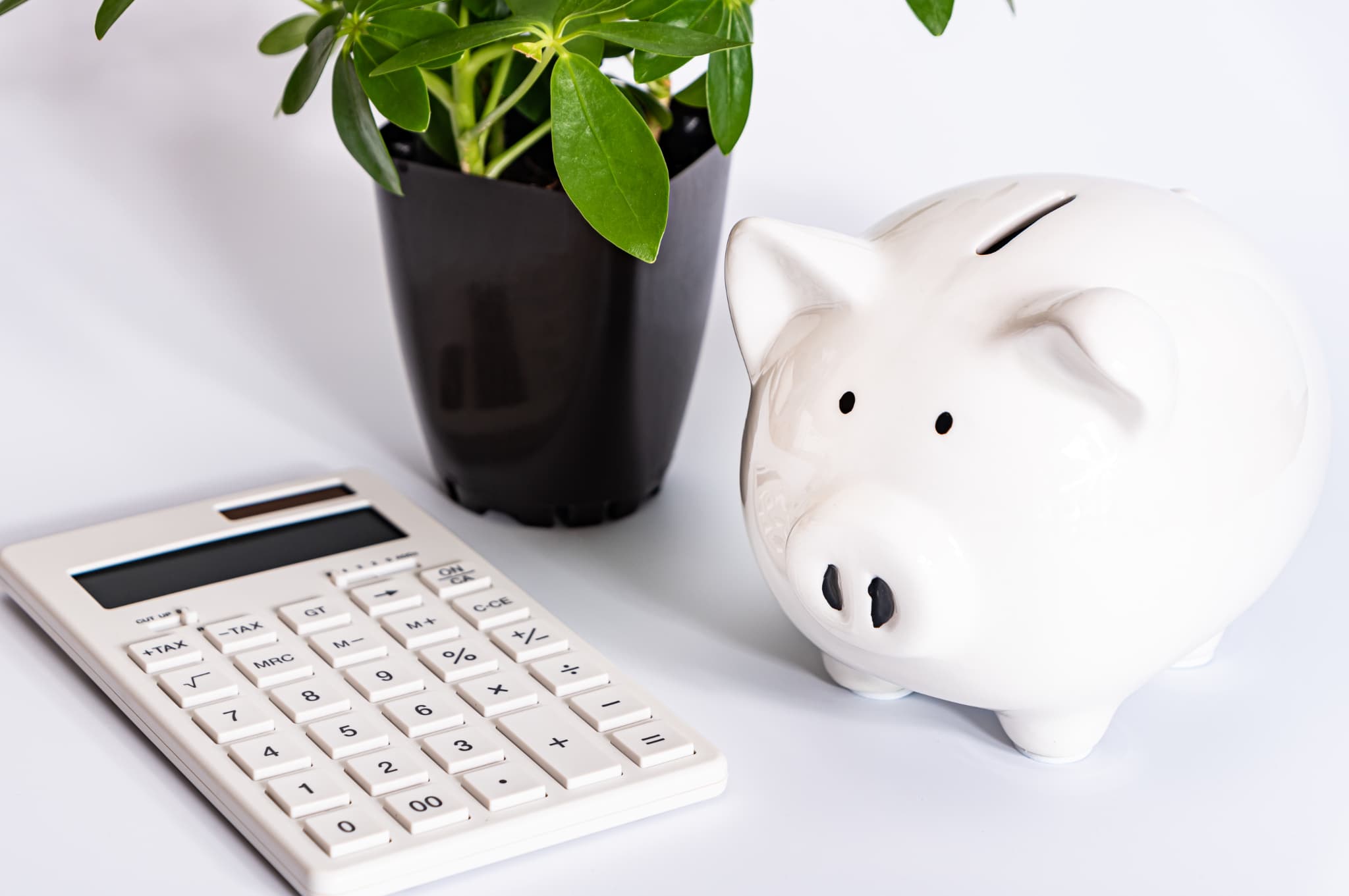 急速拡大装置の費用を示す計算機と豚の貯金箱